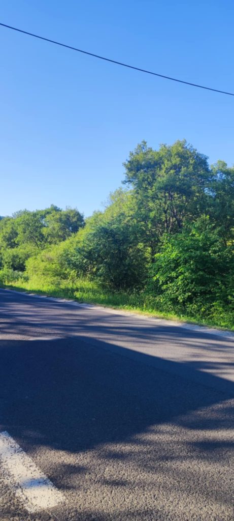 Droga z Cisnej do Wetliny